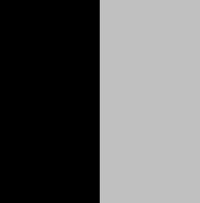 Negro Con Plateado